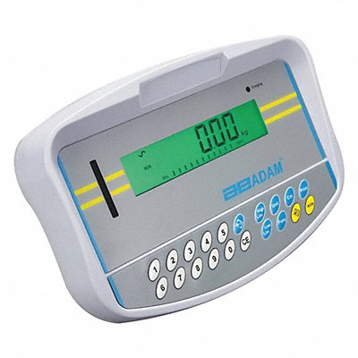 Scale Remote Displays